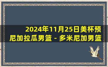 2024年11月25日美杯预 尼加拉瓜男篮 - 多米尼加男篮 全场录像